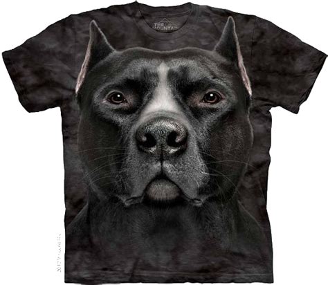 givenchy pitbull|Givenchy shirts for dogs.